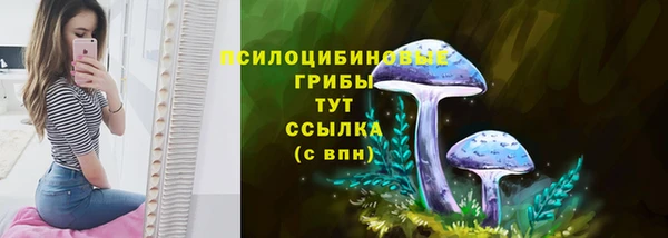 таблы Липки